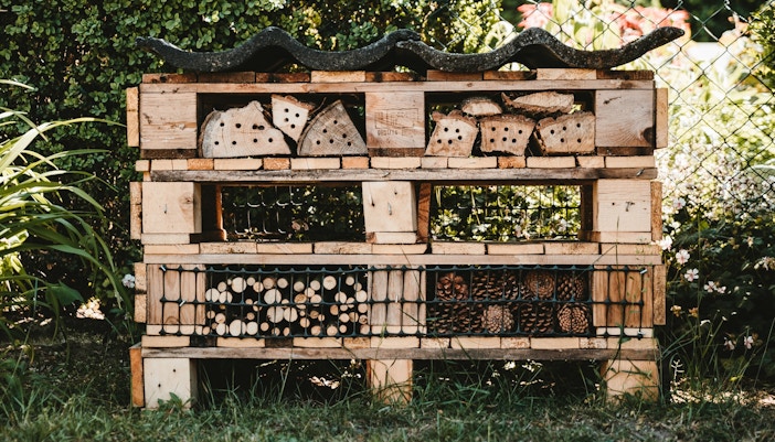 Nature & Biodiversity-Park Guell