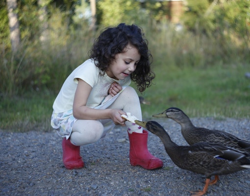 Central Florida Zoo & Botanical Gardens