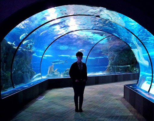 VR Park Dubai Aquarium