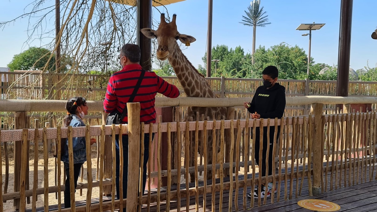 Dubai safari park Experience