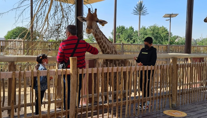 Best Places to Visit in Dubai - Dubai Safari Park