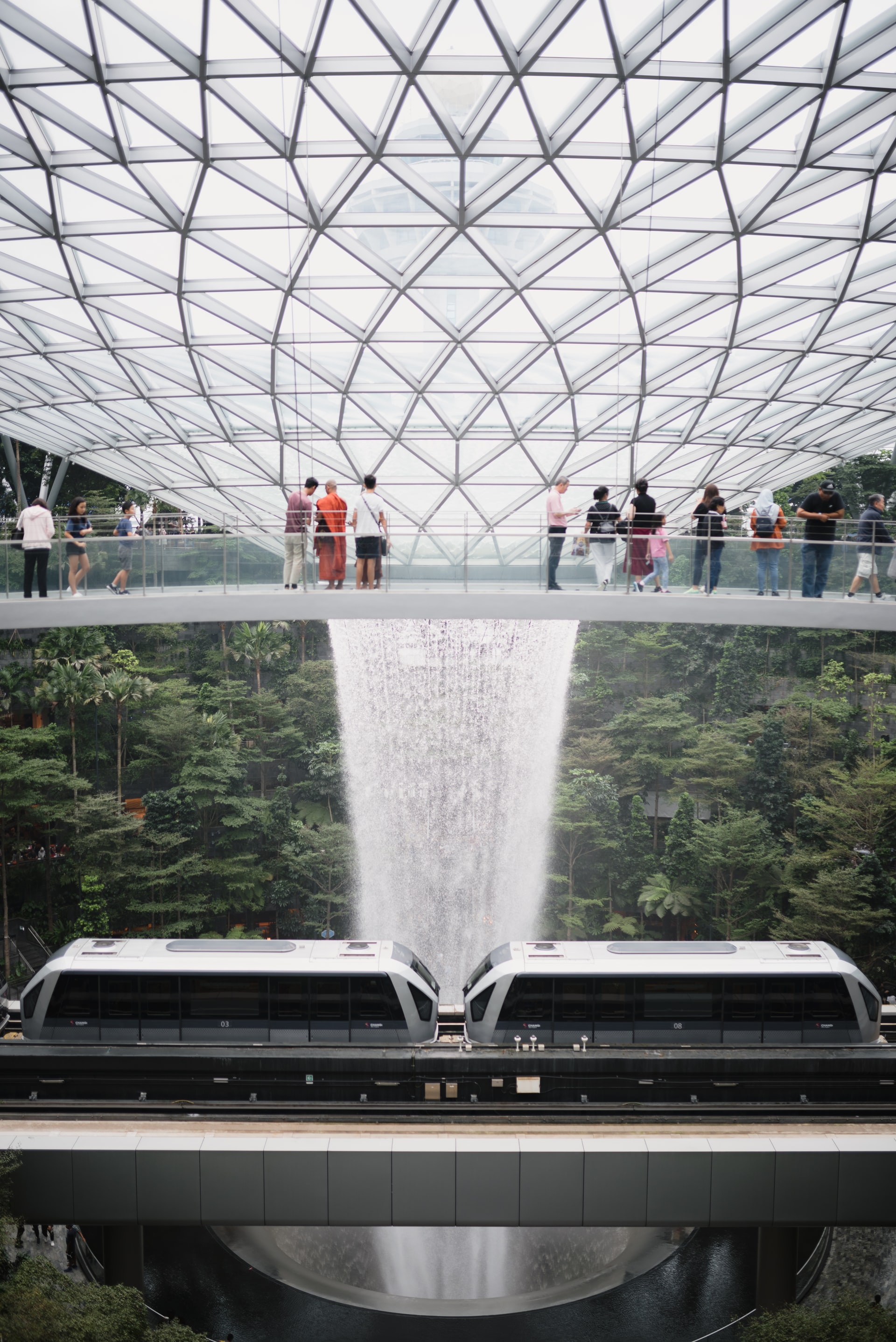Canopy Bridge- Jewel Changi Attractions