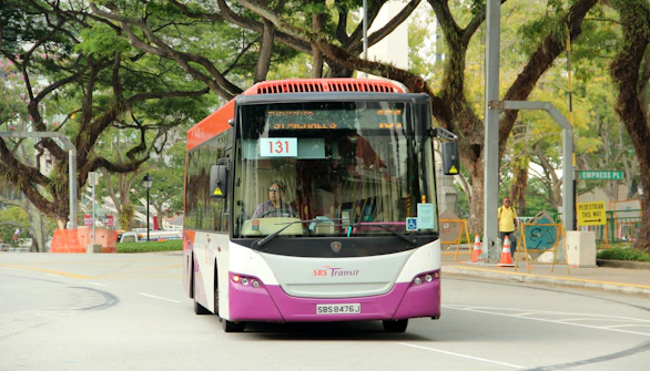 Snow City Timings Bus