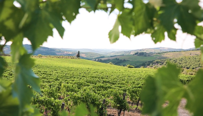 Florence Travel Guide - Chianti Wine Tour