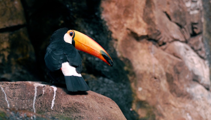 Madri em abril - Faunia Madrid