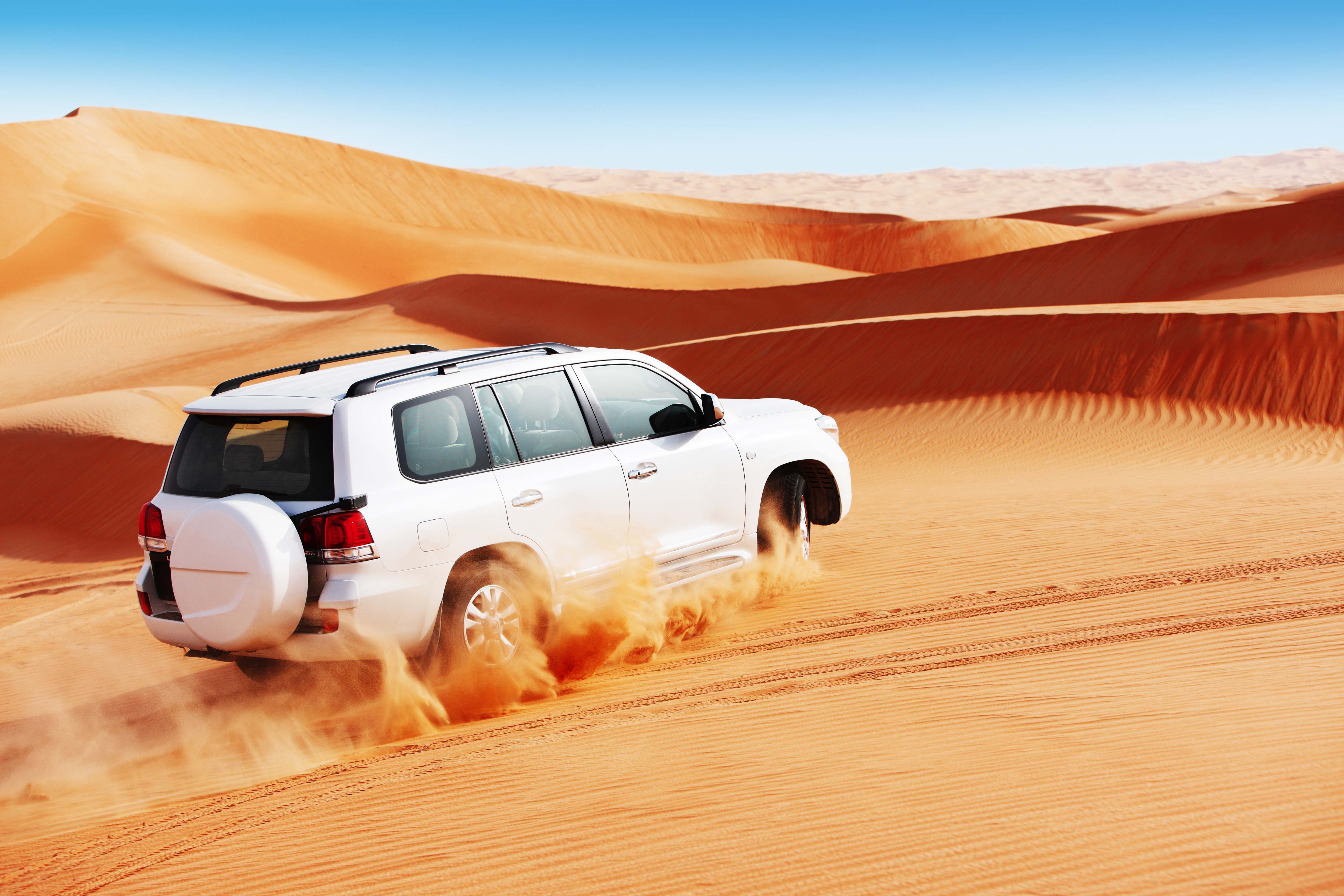 Morning Desert Safari - Adventure Desert Safaris