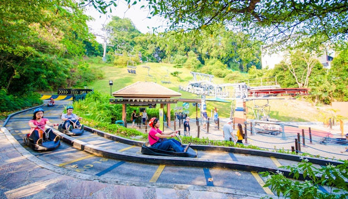 Best places to visit in Singapore - Skyline Luge
