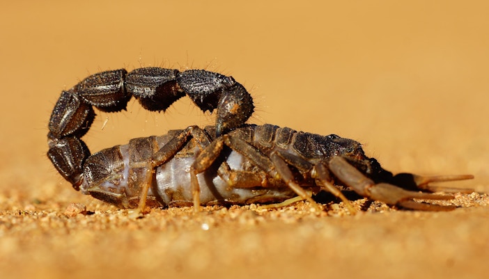 Central Florida Zoo & Botanical Gardens