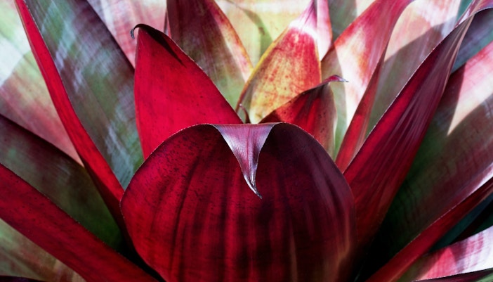 Central Florida Zoo & Botanical Gardens