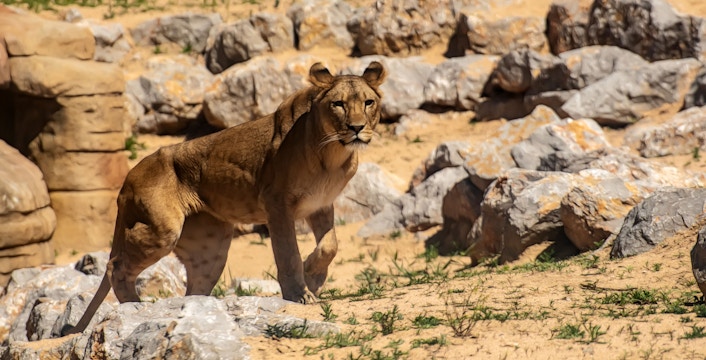 Barcelona Zoo Tickets