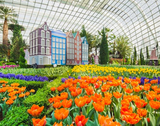 Best Time to visit Singapore  - Summer