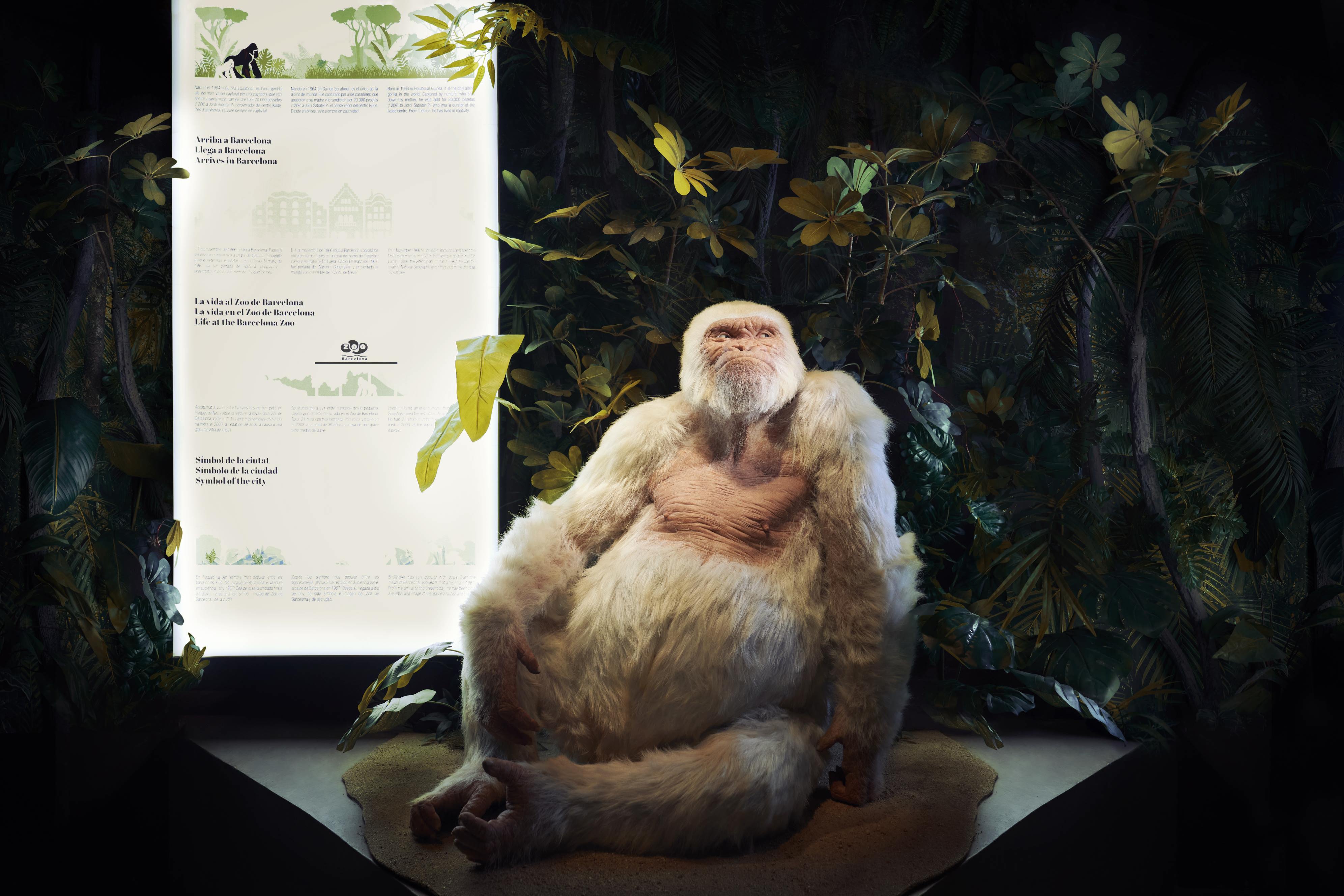 Wax Museum Barcelona