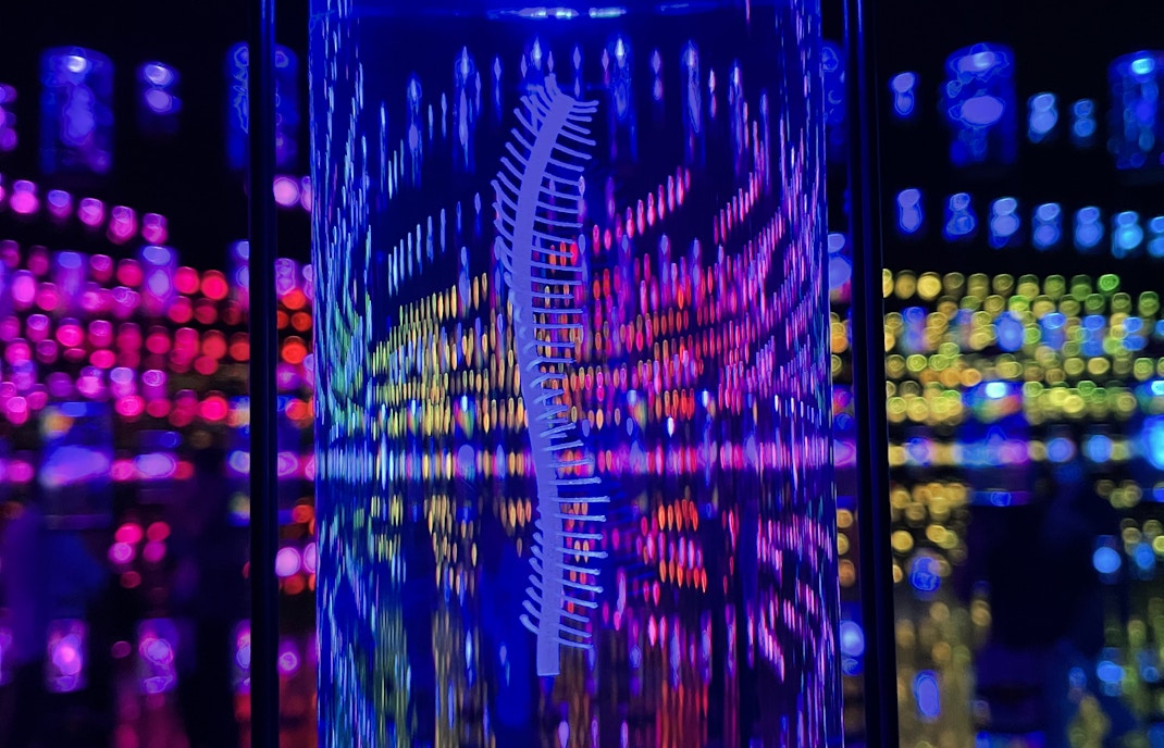 Museo Del Futuro Dubai biglietti