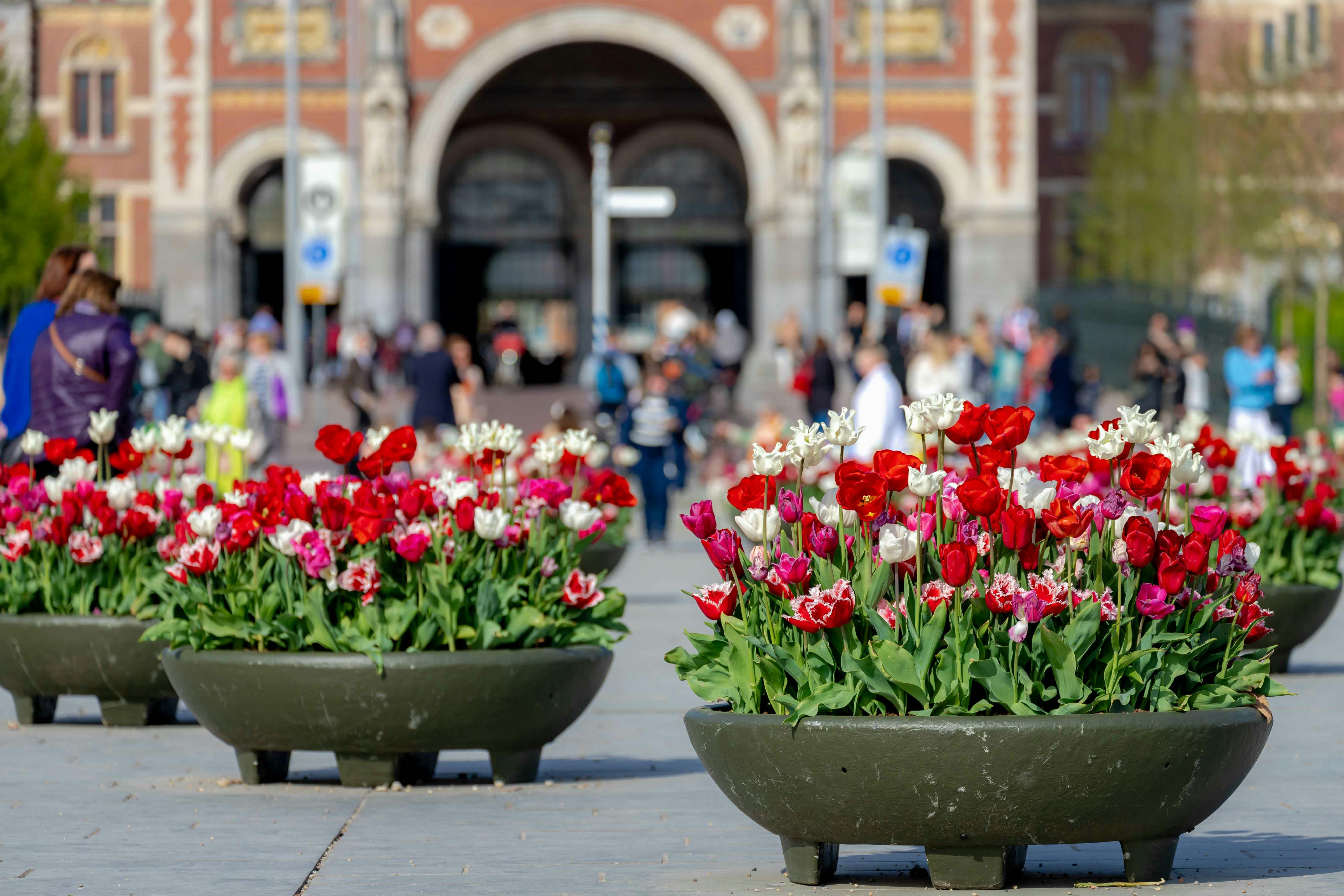 Amsterdam Tulip Museum