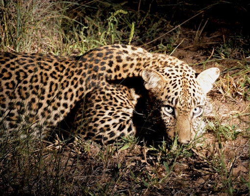 Singapore Travel Guide - Entertainment in Singapore