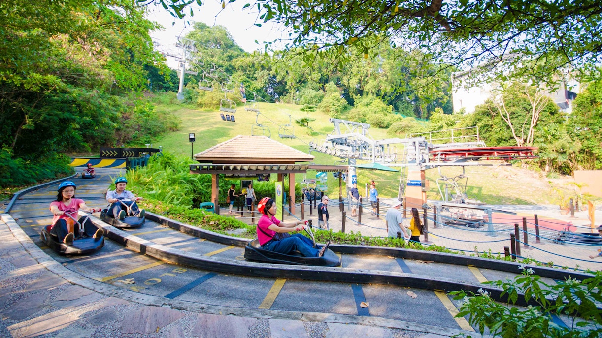 skyline luge tracks