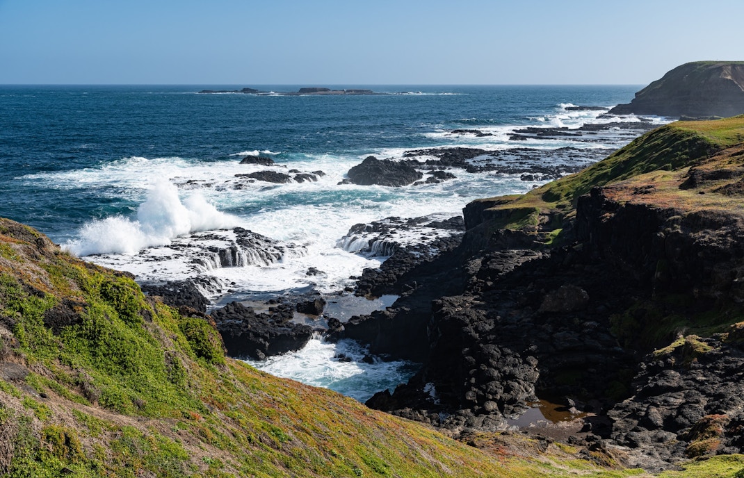 about Phillip Island Nature Parks
