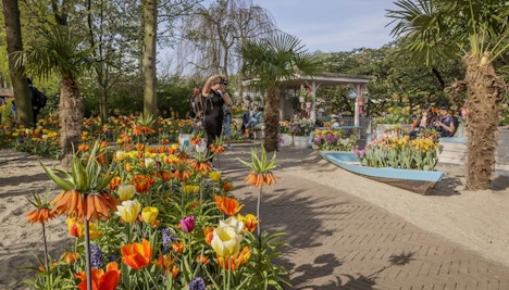 Keukenhof Amsterdam