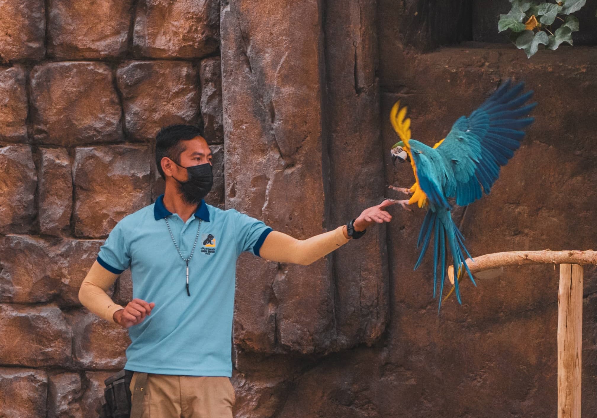 dubai safari park espectáculos en vivo