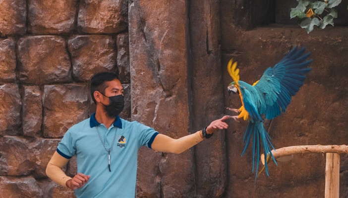 live shows dubai safari park