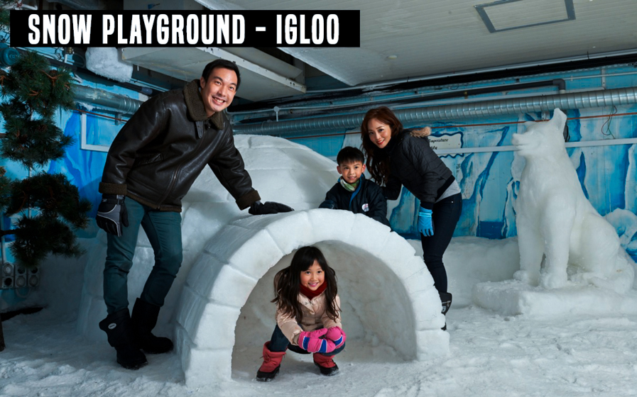 Best places to visit in Singapore - Snow CIty