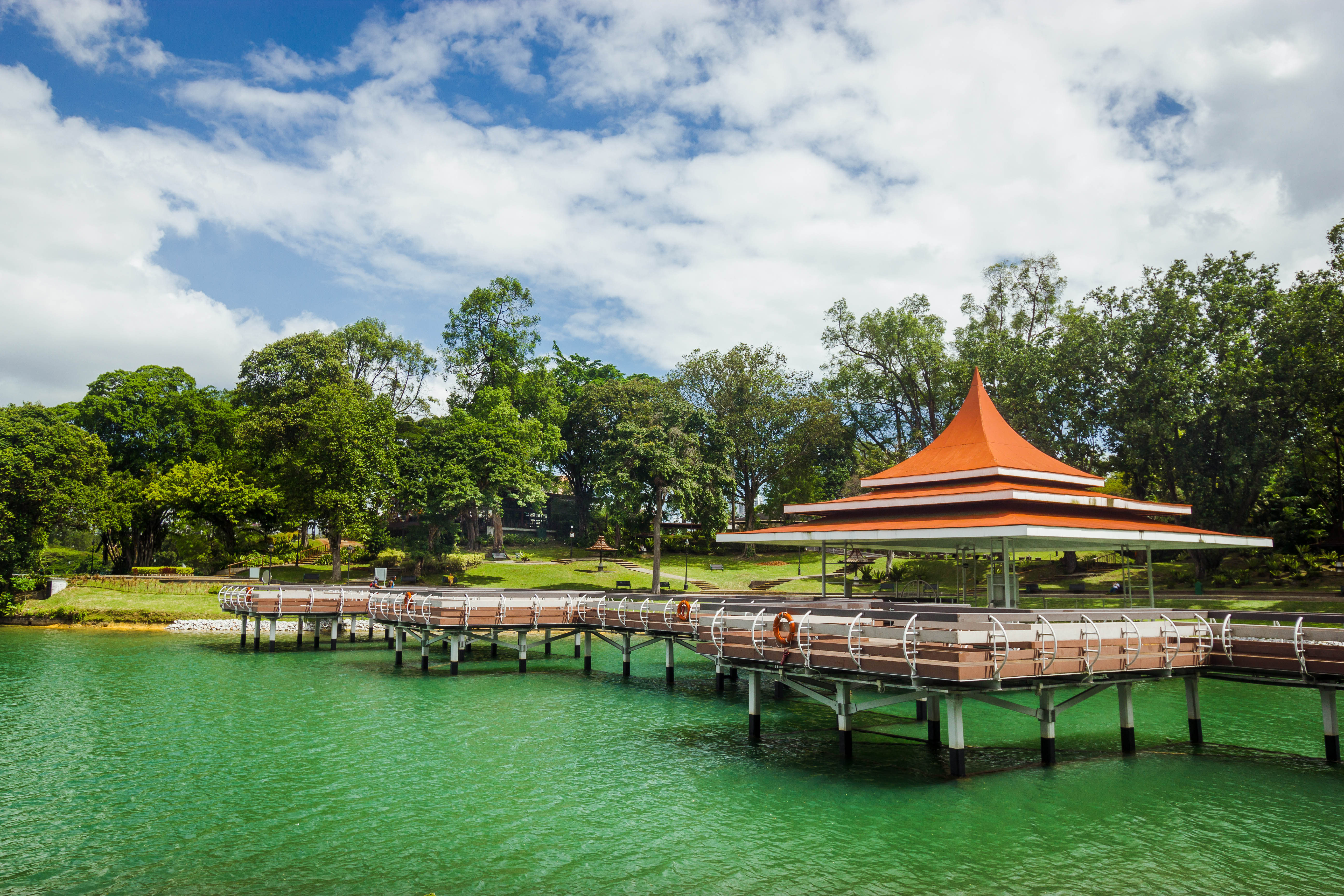 Singapore Travel Guide - MacRitchie Reservoir
