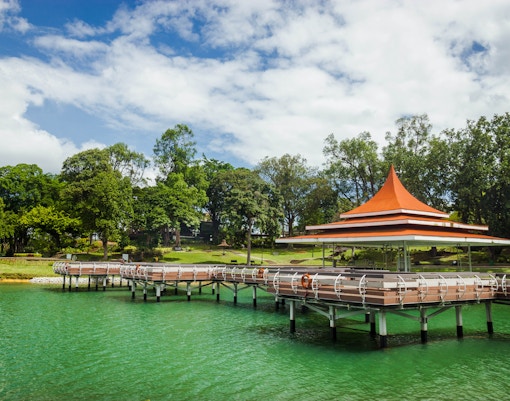 Singapore Travel Guide - MacRitchie Reservoir