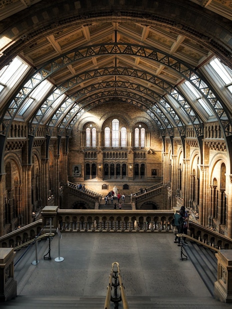 Interior of the Natural History Museum in London, showcasing the grand architecture and arched windows.