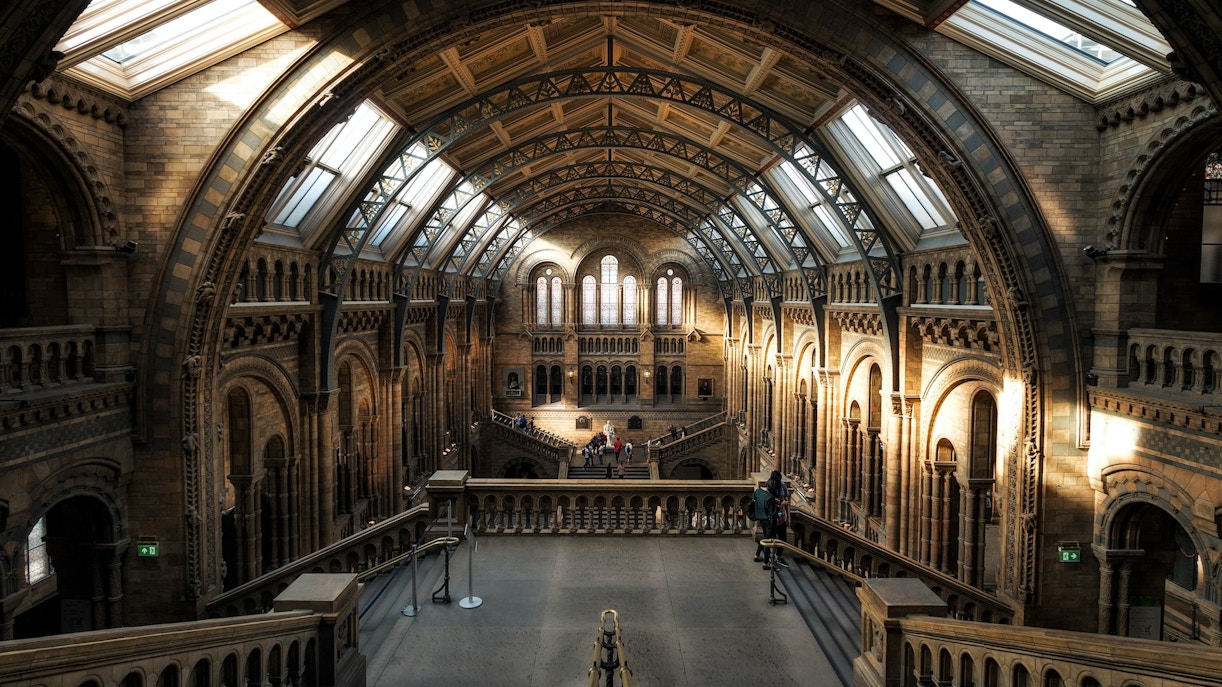 Interior of the Natural History Museum in London, showcasing the grand architecture and arched windows.