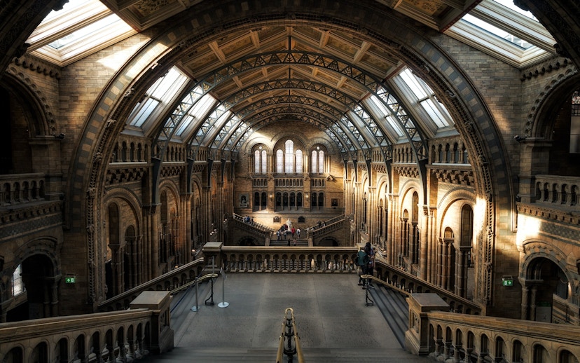 Interior of the Natural History Museum in London, showcasing the grand architecture and arched windows.