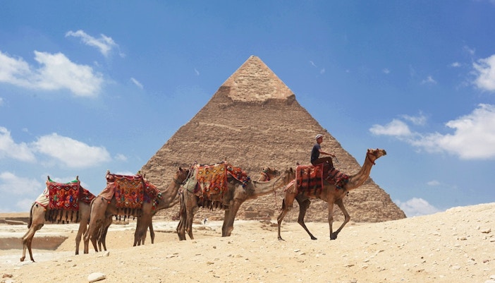 camel safari