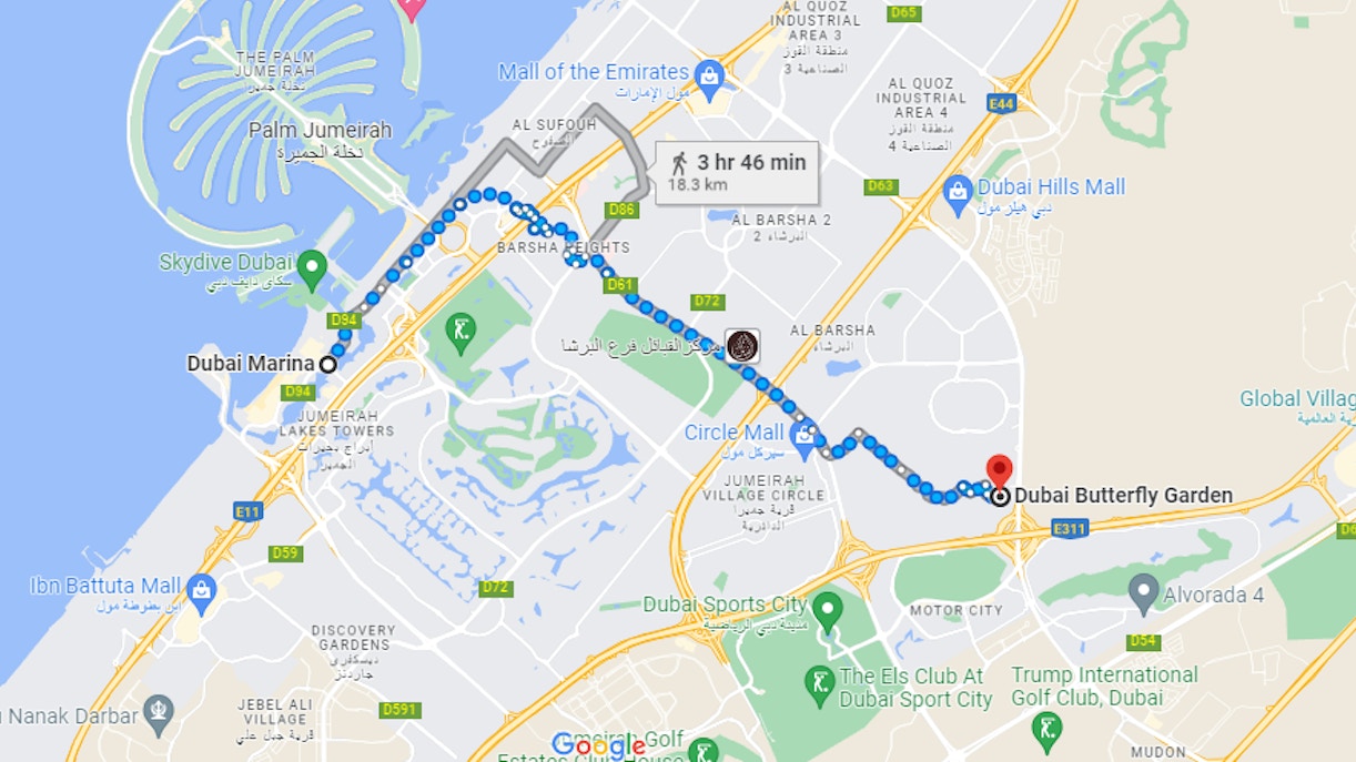 Dubai Miracle Garden