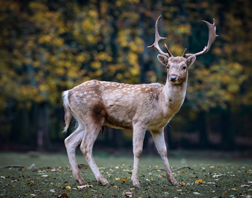 Sendaviva Natural Park tickets