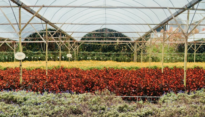 genting highland attractions