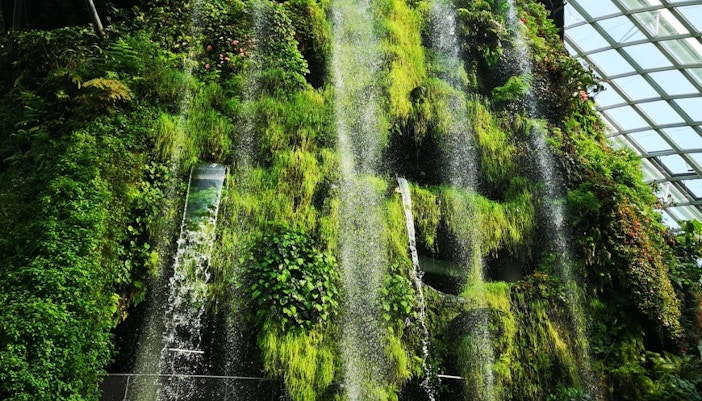 plan your visit gardens by the bay