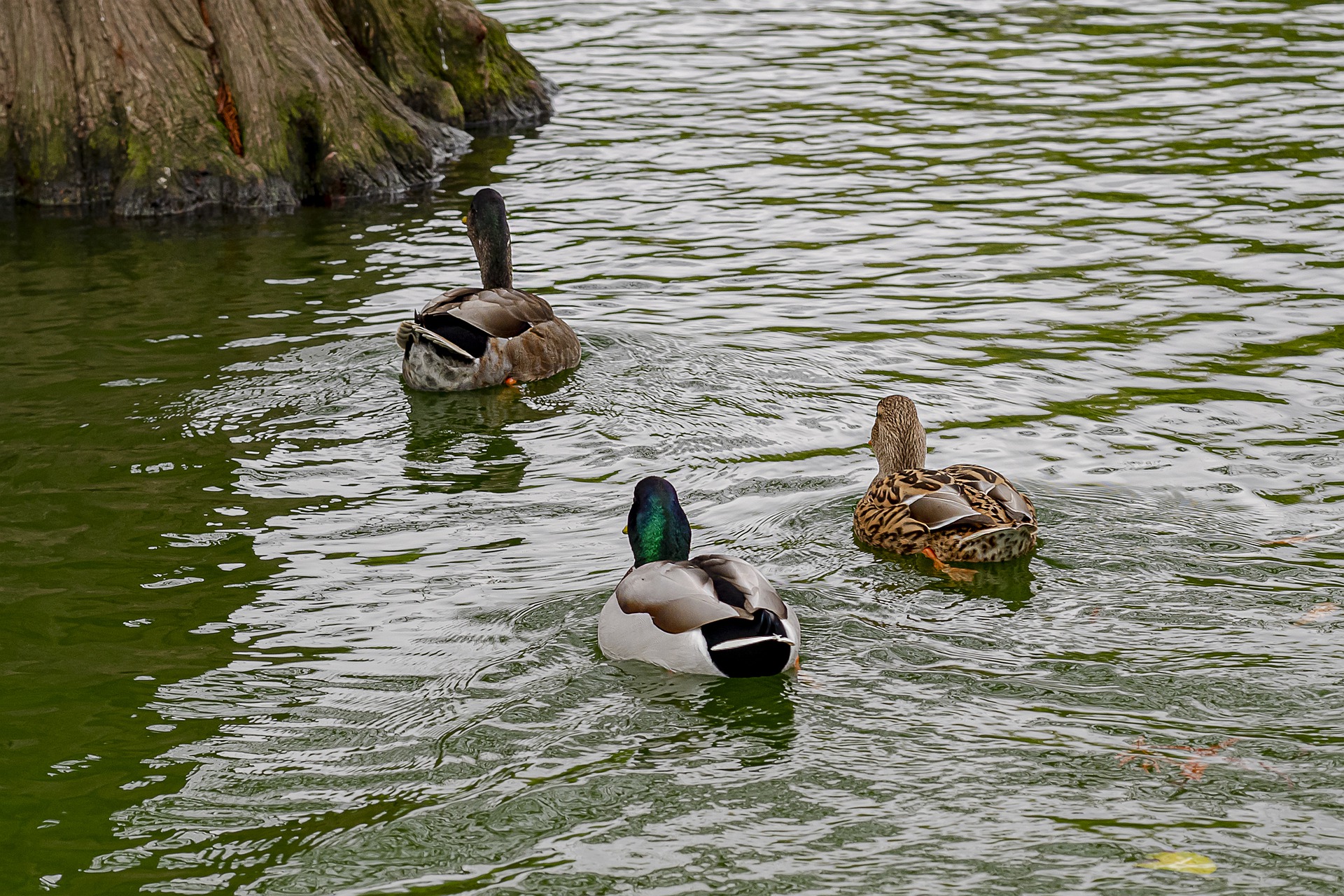 Parc de la Ciutadella barcelona