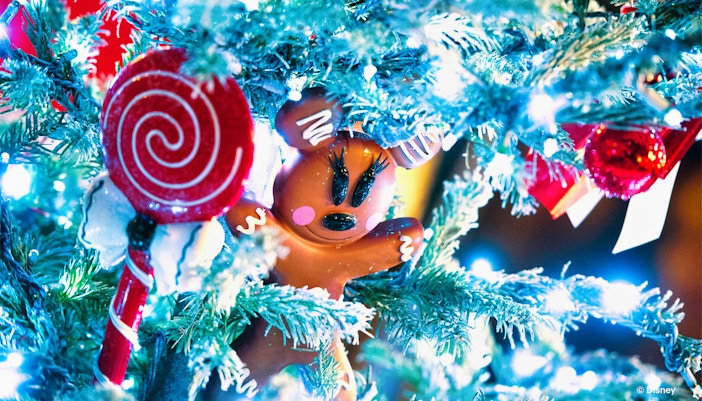 Disneyland Paris Shop