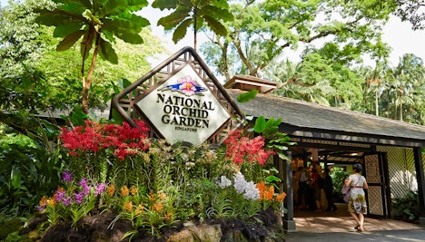 Singapore in May - National Orchid Garden