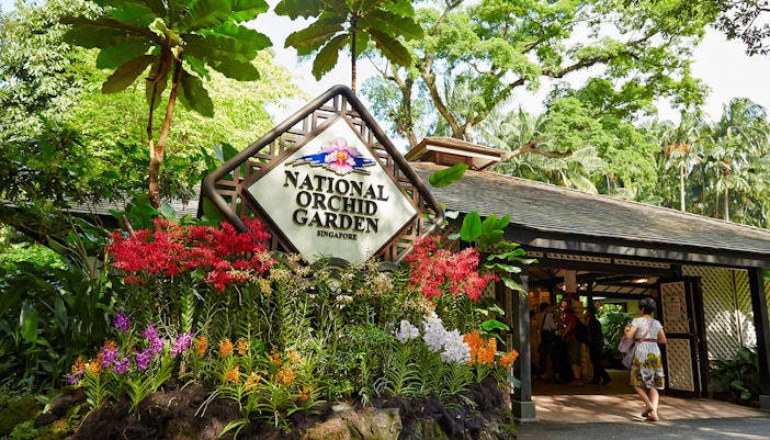 Singapore in May - National Orchid Garden