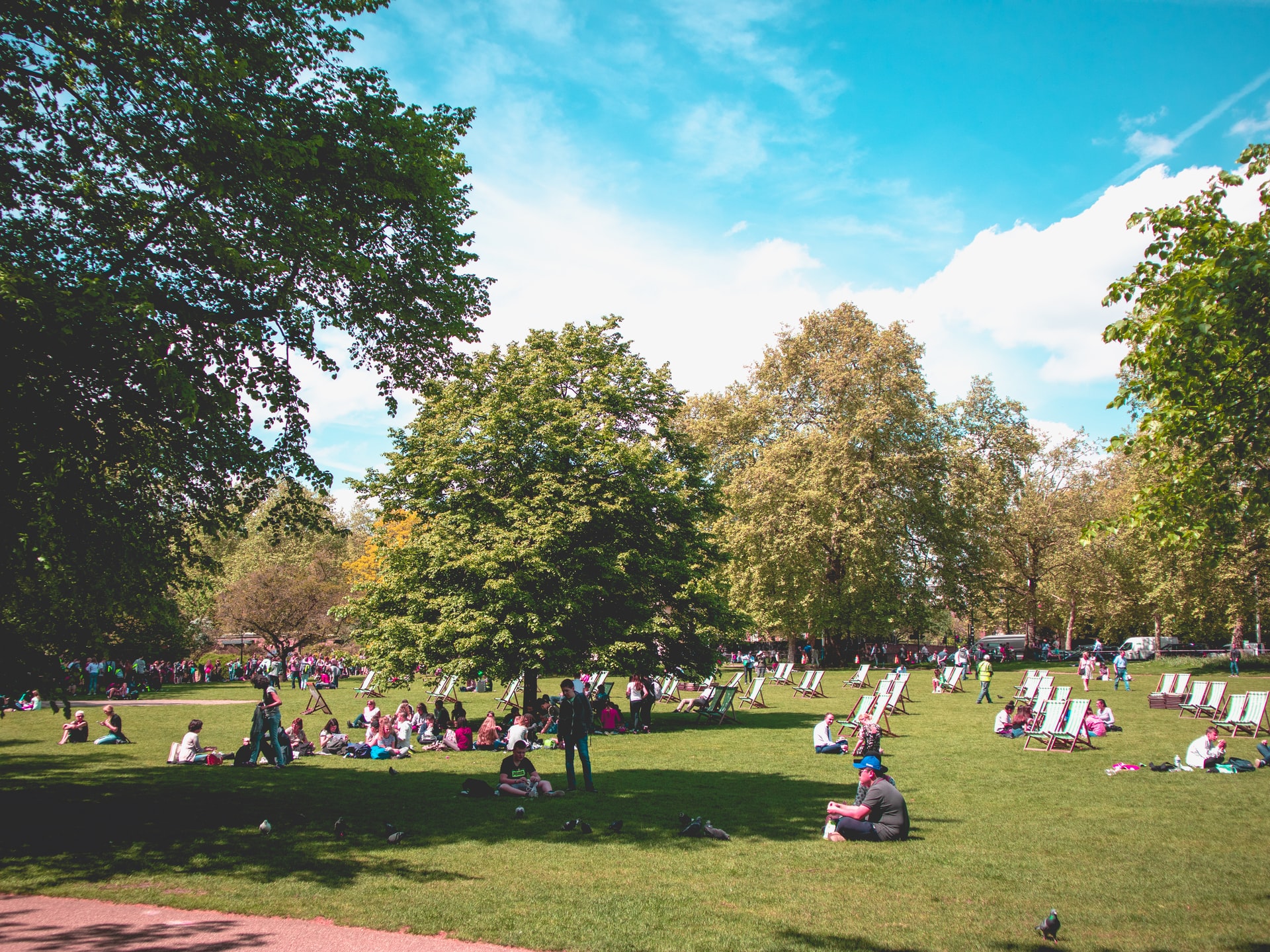 People relaxing on the grass in a London garden with trees and deck chairs.