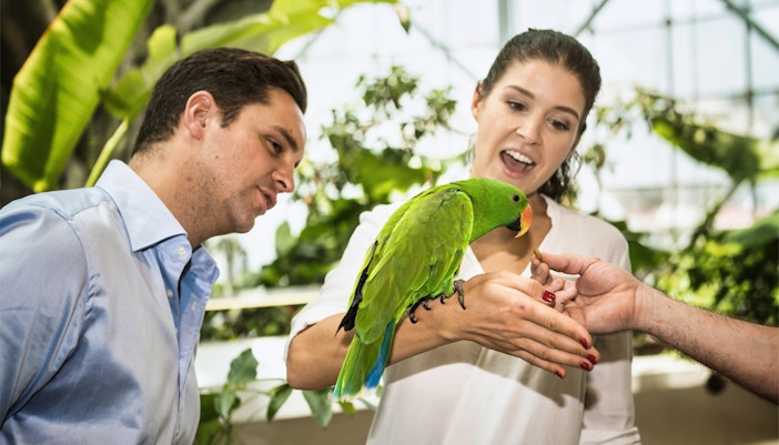 Best Places to Visit in Dubai - Green Planet Dubai