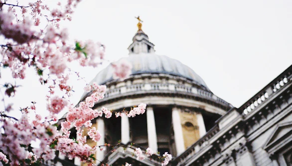 st paul's cathedral