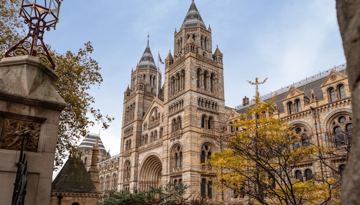museums in london - natural history museum