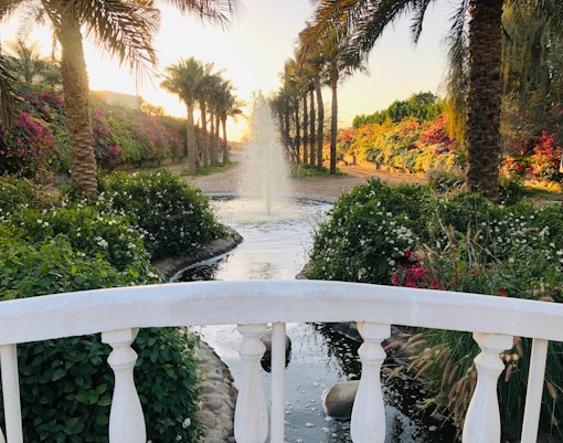 Dubai to Sharjah- Al Dhaid