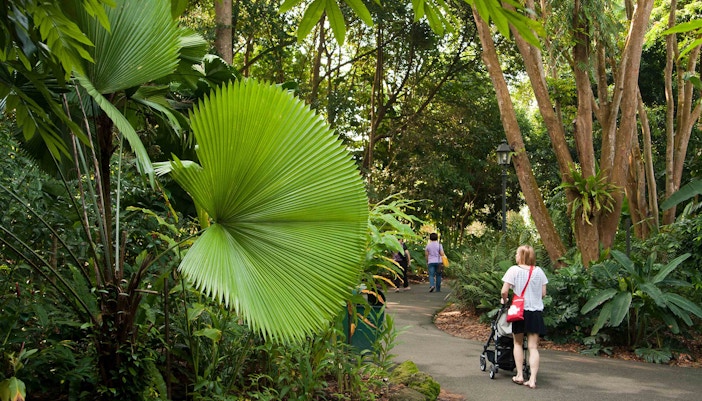 Singapore Botanic Gardens