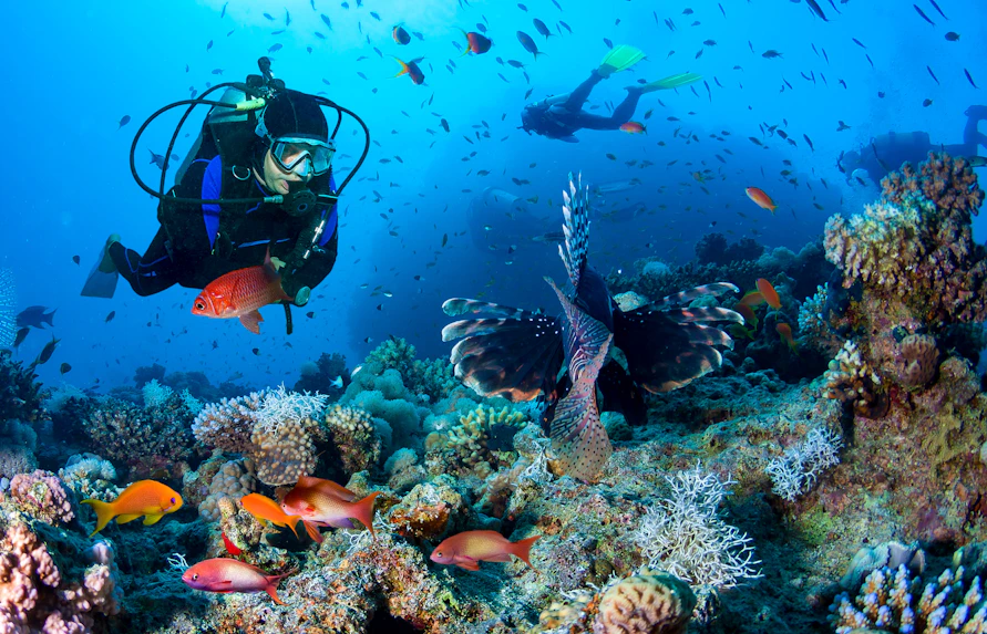 plan your visit lost chambers aquarium