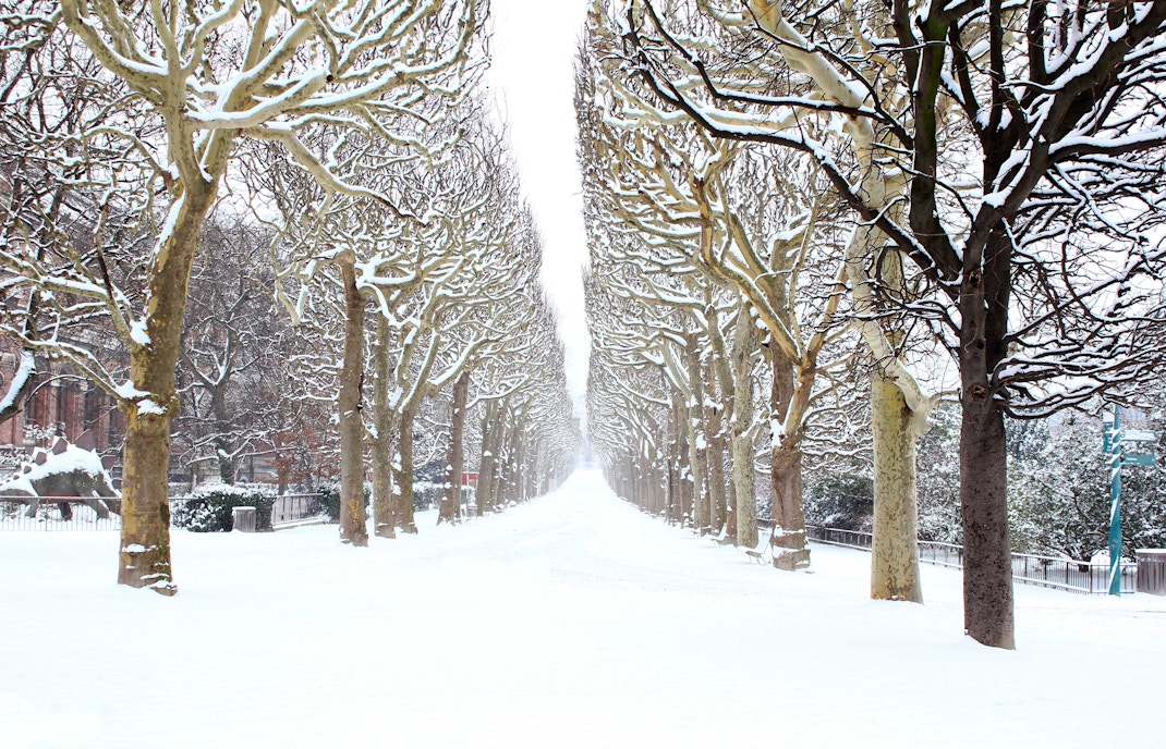 Paris in January - Festivals