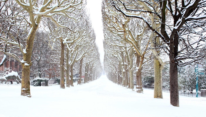 Paris in February - Festivals