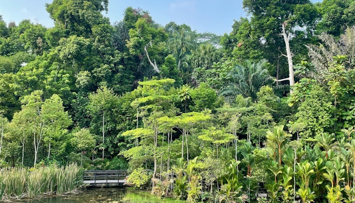 Parks in Singapore - The Learning Forest