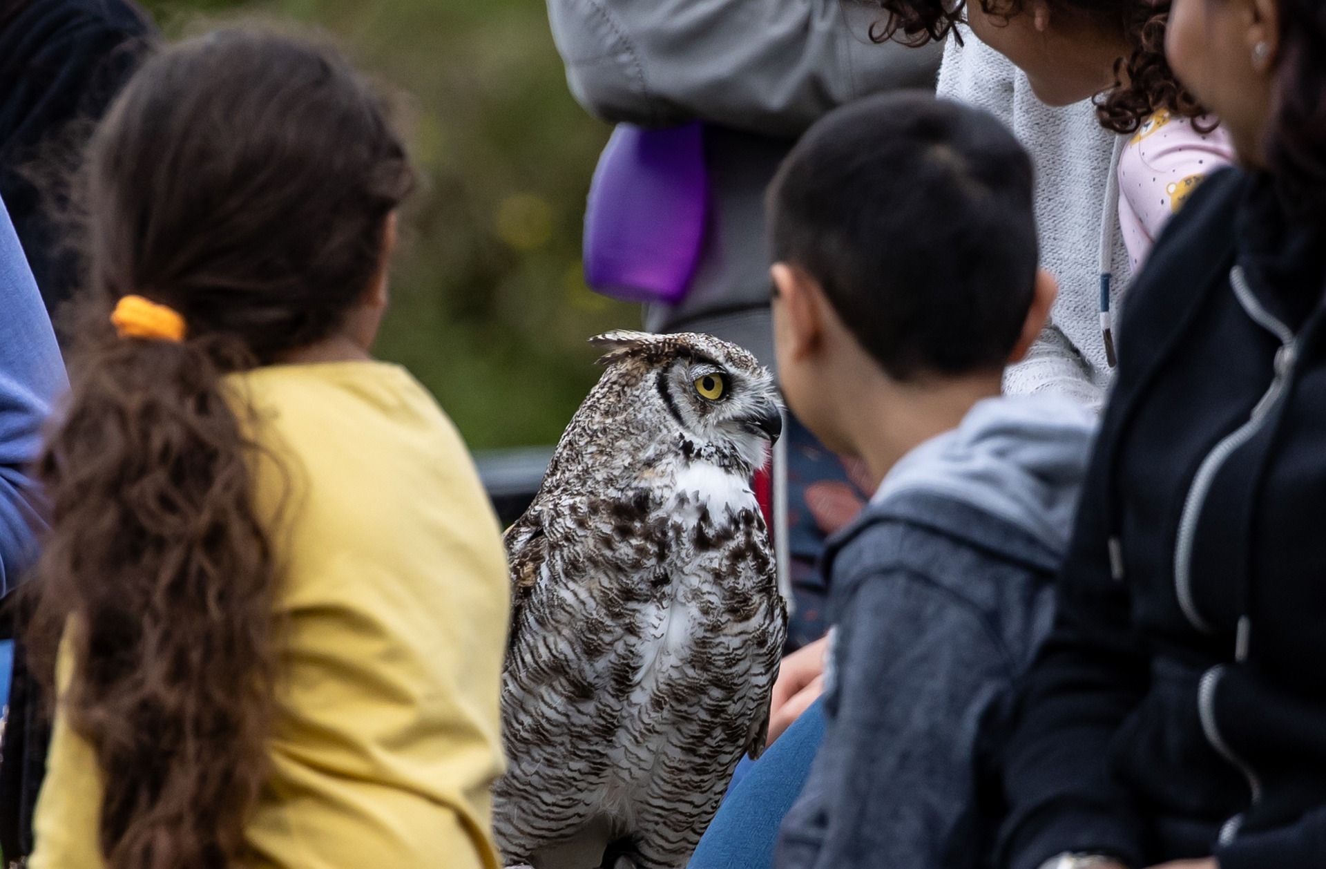 Oasis Wildlife Fuerteventura tickets